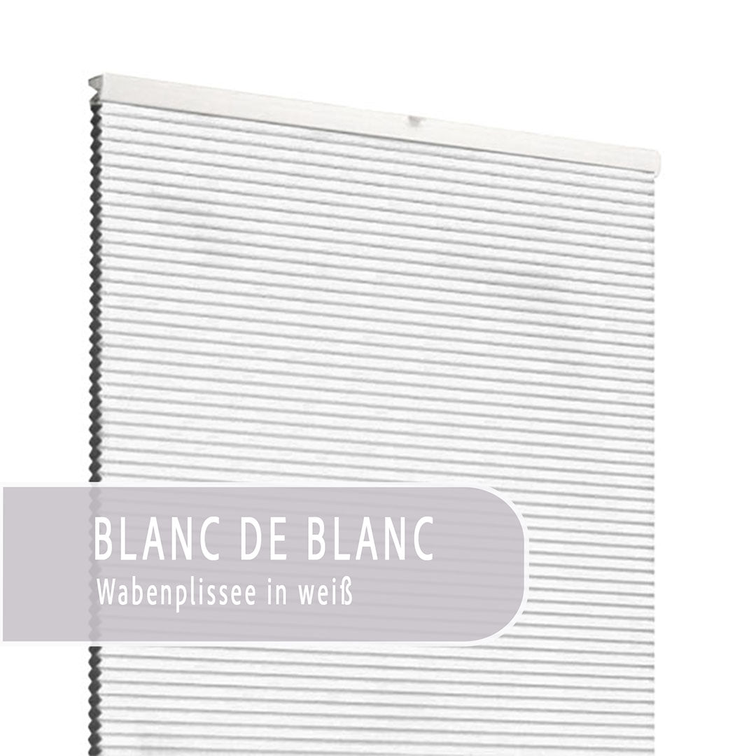 Blanc de Blanc | Ella Wabe Plissee | weiß